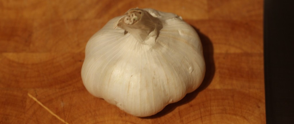 Bulb of garlic